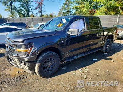 2025 FORD F150 XLT 1FTFW3L59SKD35704 - główne zdjęcie licytacji z USA - miniatura