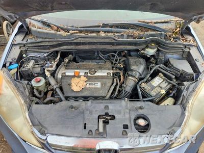Zdjęcie 12 z 13 samochodu: 2008 HONDA CR-V EXL VIN:JHLRE38758C012959 - miniatura