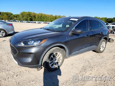 2020 FORD ESCAPE SE 1FMCU9G61LUB22245 - główne zdjęcie licytacji z USA - miniatura