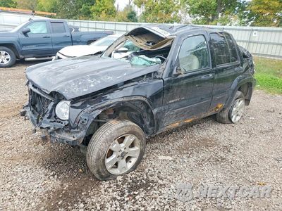 2002 JEEP LIBERTY LIMITED 1J4GL58K72W324985 - główne zdjęcie licytacji z USA - miniatura
