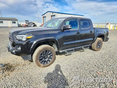 2023 TOYOTA TACOMA LIMITED 3TMGZ5AN8PM560738 - główne zdjęcie licytacji z USA - miniatura
