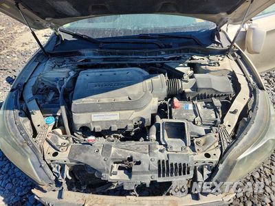 Zdjęcie 11 z 12 samochodu: 2013 HONDA ACCORD EXL VIN:1HGCR3F87DA023925 - miniatura