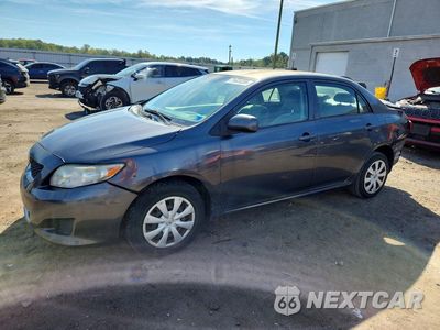 2010 TOYOTA COROLLA LE 2T1BU4EE3AC293635 - główne zdjęcie licytacji z USA - miniatura