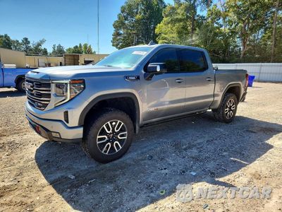 2024 GMC SIERRA K1500 AT4 1GTUUEE82RZ405027 - główne zdjęcie licytacji z USA - miniatura