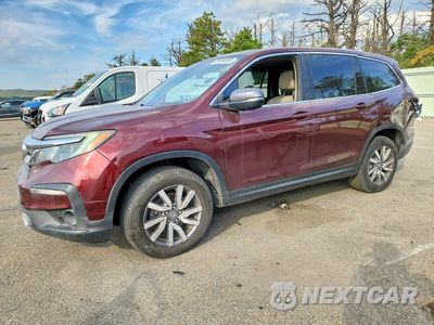 2019 HONDA PILOT EXL 5FNYF5H58KB043794 - główne zdjęcie licytacji z USA - miniatura