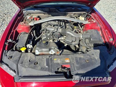 Zdjęcie 11 z 12 samochodu: 2014 FORD MUSTANG VIN:1ZVBP8EM5E5248086 - miniatura