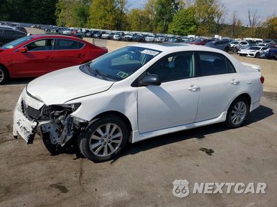 2010 TOYOTA COROLLA S 2T1BU4EE1AC450207 - główne zdjęcie licytacji z USA - miniatura