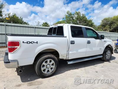 Trzecie zdjęcie samochodu z tyłu: 2013 FORD F150 SUPERCREW VIN:1FTFW1ET5DKE75235 - miniatura