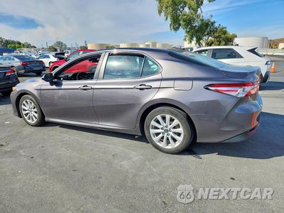 Drugie zdjęcie samochodu z przodu: 2019 TOYOTA CAMRY LE VIN:4T1B11HK1KU779191 - miniatura