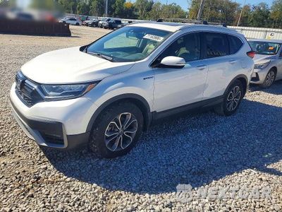 2022 HONDA CR-V EXL 5J6RT6H83NL021985 - główne zdjęcie licytacji z USA - miniatura