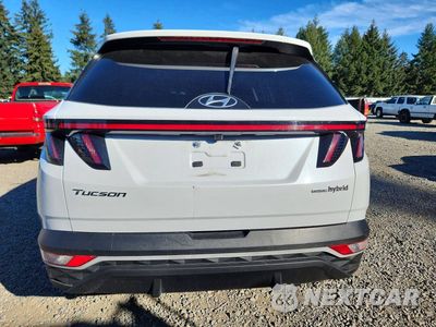 Zdjęcie 6 z 13 samochodu: 2023 HYUNDAI TUCSON SEL CONVENIENCE VIN:KM8JFCA11PU112283 - miniatura