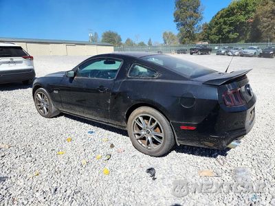 Drugie zdjęcie samochodu z przodu: 2014 FORD MUSTANG GT VIN:1ZVBP8CF1E5297953 - miniatura