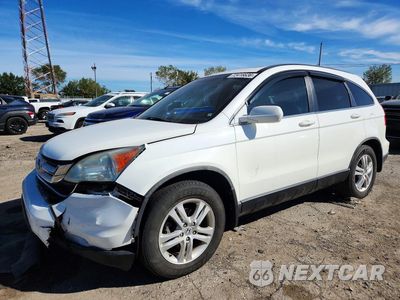 2011 HONDA CR-V EXL 5J6RE4H76BL034201 - główne zdjęcie licytacji z USA - miniatura