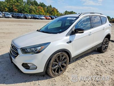 2017 FORD ESCAPE TITANIUM 1FMCU9JD7HUD01601 - główne zdjęcie licytacji z USA - miniatura
