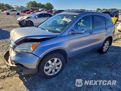 2007 HONDA CR-V EXL JHLRE48767C105008 - główne zdjęcie licytacji z USA - miniatura