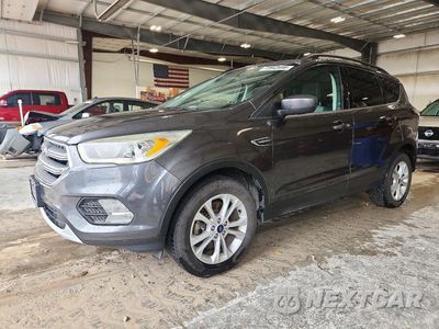 2017 FORD ESCAPE 1FMCU9GD9HUE35890 - główne zdjęcie licytacji z USA - miniatura