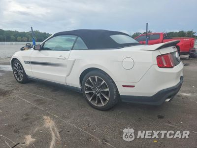 Drugie zdjęcie samochodu z przodu: 2012 FORD MUSTANG GT VIN:1ZVBP8FF6C5217829 - miniatura