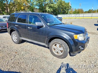 Czwarte zdjęcie samochodu z boku: 2010 FORD ESCAPE XLT VIN:1FMCU9DG7AKC65674 - miniatura