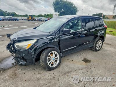 2019 FORD ESCAPE SE 1FMCU0GD9KUB74554 - główne zdjęcie licytacji z USA - miniatura