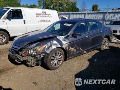 2011 HONDA ACCORD EXL 1HGCP2F88BA094547 - główne zdjęcie licytacji z USA - miniatura