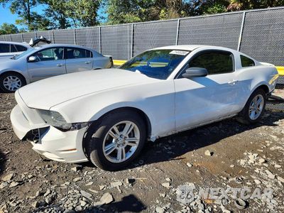 2013 FORD MUSTANG 1ZVBP8AM0D5231488 - główne zdjęcie licytacji z USA - miniatura