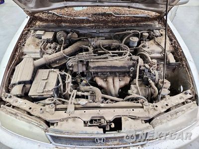 Zdjęcie 11 z 12 samochodu: 1996 HONDA ACCORD DX 4D SEDAN VIN:1HGCD5532TA149236 - miniatura