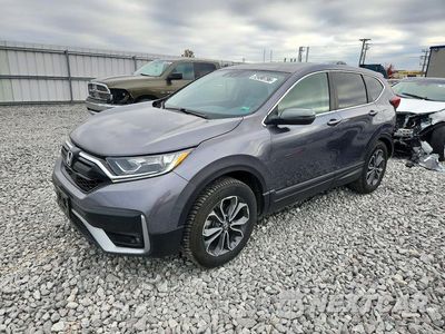2022 HONDA CR-V EXL 7FARW2H82NE043120 - główne zdjęcie licytacji z USA - miniatura