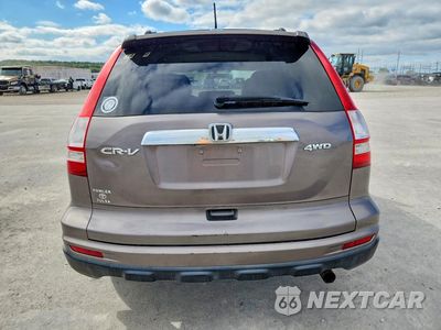 Zdjęcie 6 z 13 samochodu: 2011 HONDA CR-V VIN:5J6RE4H74BL053488 - miniatura