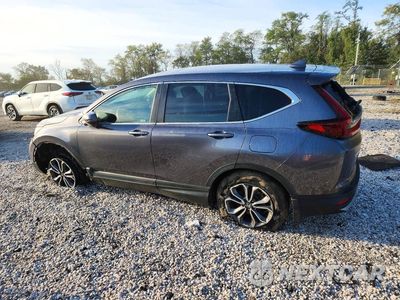 Drugie zdjęcie samochodu z przodu: 2021 HONDA CR-V EX VIN:2HKRW2H52MH641046 - miniatura
