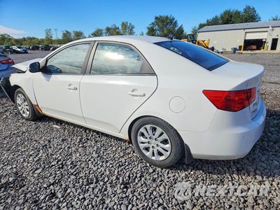 Drugie zdjęcie samochodu z przodu: 2010 KIA FORTE EX VIN:KNAFU4A27A5129148 - miniatura