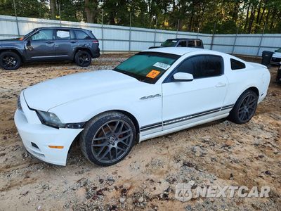 2013 FORD MUSTANG 1ZVBP8AM7D5230189 - główne zdjęcie licytacji z USA - miniatura