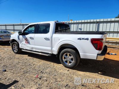 Drugie zdjęcie samochodu z przodu: 2024 FORD F150 XLT VIN:1FTFW3L86RFA12546 - miniatura