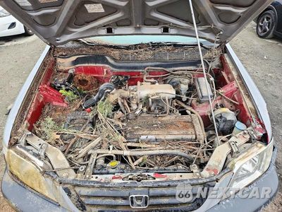 Zdjęcie 12 z 13 samochodu: 1997 HONDA CR-V LX VIN:JHLRD184XVC053984 - miniatura