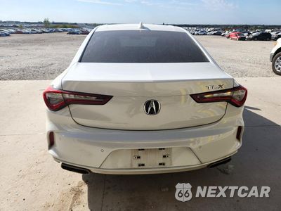 Zdjęcie 6 z 12 samochodu: 2023 ACURA TLX TECHNOLOGY VIN:19UUB5F44PA003492 - miniatura