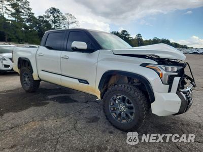 Czwarte zdjęcie samochodu z boku: 2023 TOYOTA TUNDRA PLATINUM VIN:5TFNA5DBXPX109076 - miniatura