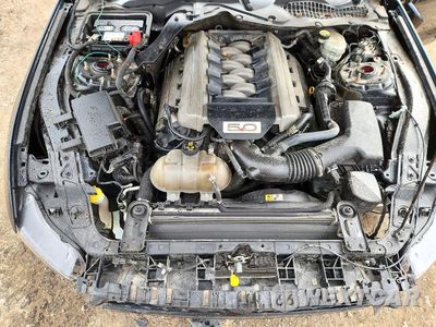 Zdjęcie 11 z 13 samochodu: 2017 FORD MUSTANG GT VIN:1FA6P8CF1H5296185 - miniatura