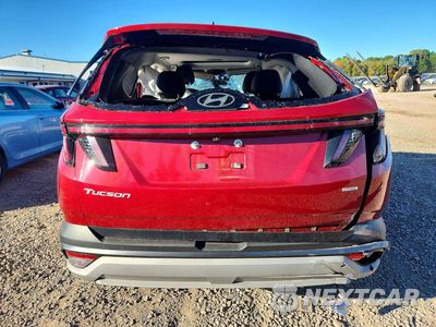Zdjęcie 6 z 14 samochodu: 2025 HYUNDAI TUCSON SEL VIN:5NMJCCDE2SH519363 - miniatura