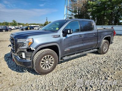2019 GMC SIERRA K1500 AT4 3GTP9EEL7KG165983 - główne zdjęcie licytacji z USA - miniatura