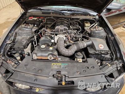 Zdjęcie 11 z 12 samochodu: 2005 FORD MUSTANG VIN:1ZVFT80N455129152 - miniatura
