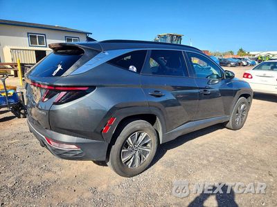 Trzecie zdjęcie samochodu z tyłu: 2023 HYUNDAI TUCSON BLUE VIN:KM8JBCA16PU085643 - miniatura