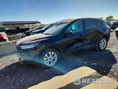 2025 FORD ESCAPE ACTIVE 1FMCU0GN2SUA53552 - główne zdjęcie licytacji z USA - miniatura