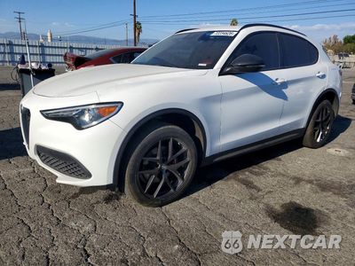 2020 ALFA ROMEO STELVIO ZASPAJAN5L7C95689 - główne zdjęcie licytacji z USA - miniatura