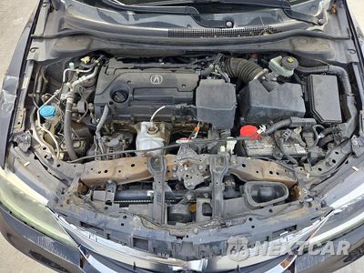 Zdjęcie 11 z 13 samochodu: 2016 ACURA ILX PREMIUM VIN:19UDE2F76GA022982 - miniatura