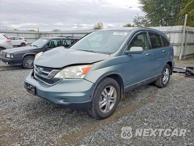 2010 HONDA CR-V EXL 5J6RE4H76AL022564 - główne zdjęcie licytacji z USA - miniatura