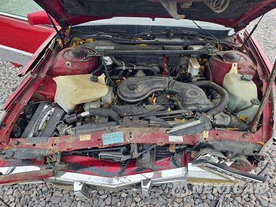 Zdjęcie 11 z 12 samochodu: 1992 CADILLAC DEVILLE VIN:1G6CD13B3N4319562 - miniatura