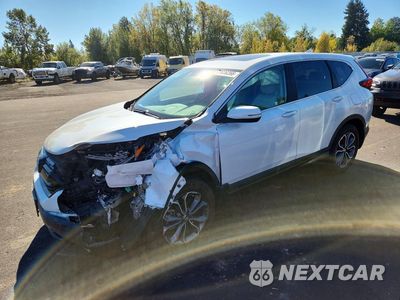 2022 HONDA CR-V EXL 2HKRW2H8XNH664666 - główne zdjęcie licytacji z USA - miniatura