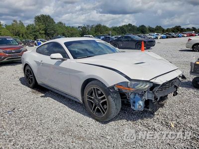 Czwarte zdjęcie samochodu z boku: 2019 FORD MUSTANG VIN:1FA6P8TH0K5184731 - miniatura