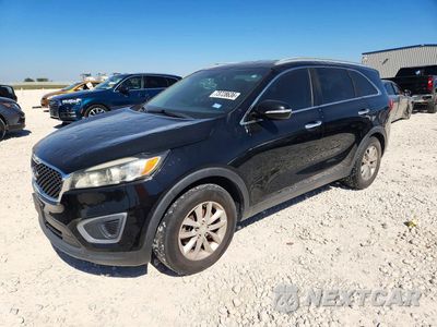 2016 KIA SORENTO LX 5XYPG4A31GG042305 - główne zdjęcie licytacji z USA - miniatura