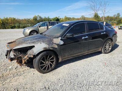 2008 HONDA ACCORD EXL 1HGCP36858A028083 - główne zdjęcie licytacji z USA - miniatura