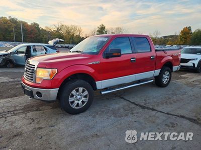 2012 FORD F150 SUPERCREW 1FTFW1EF7CFB49972 - główne zdjęcie licytacji z USA - miniatura